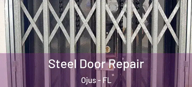 Steel Door Repair Ojus - FL