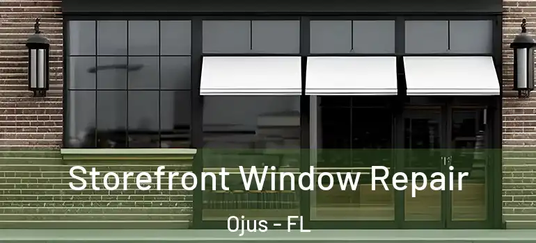 Storefront Window Repair Ojus - FL