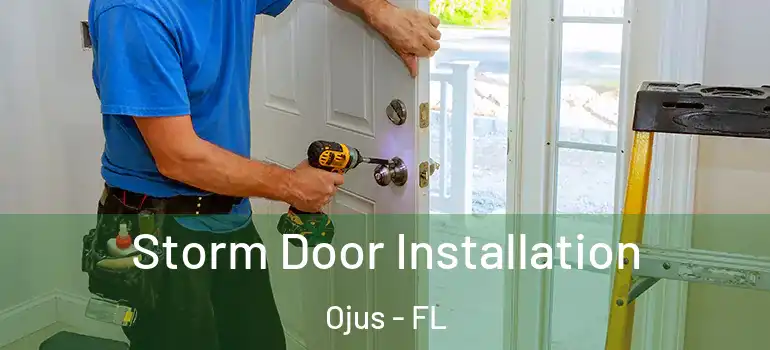 Storm Door Installation Ojus - FL
