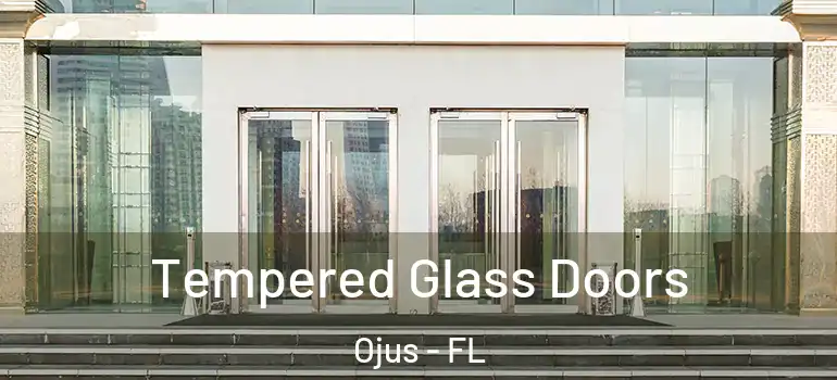 Tempered Glass Doors Ojus - FL
