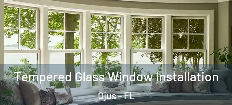 Tempered Glass Window Installation Ojus - FL