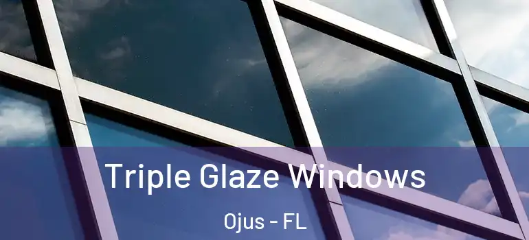 Triple Glaze Windows Ojus - FL
