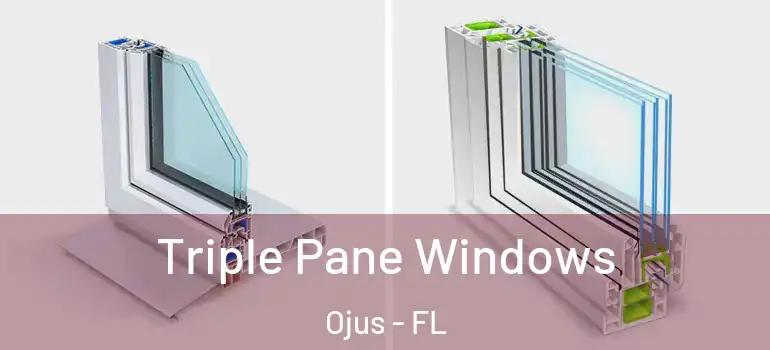 Triple Pane Windows Ojus - FL
