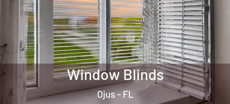 Window Blinds Ojus - FL