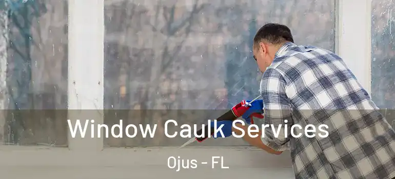 Window Caulk Services Ojus - FL