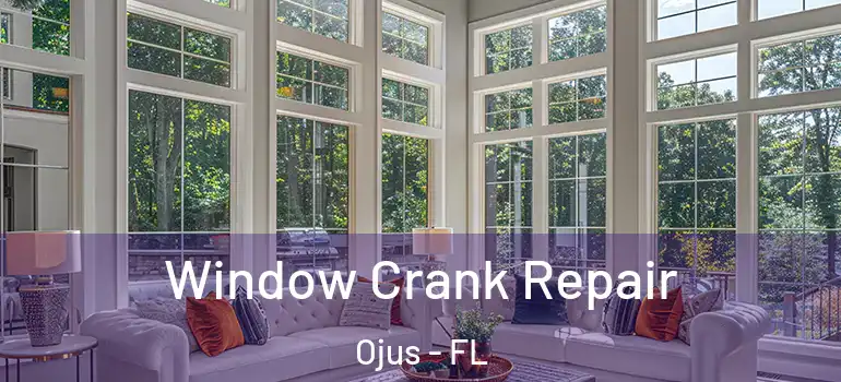 Window Crank Repair Ojus - FL