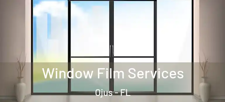 Window Film Services Ojus - FL