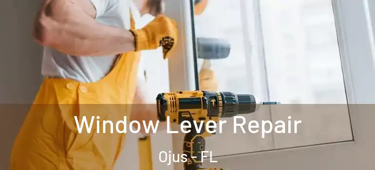 Window Lever Repair Ojus - FL