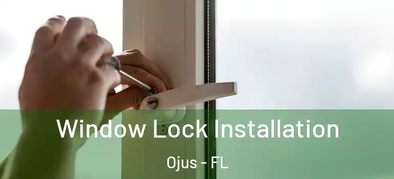 Window Lock Installation Ojus - FL