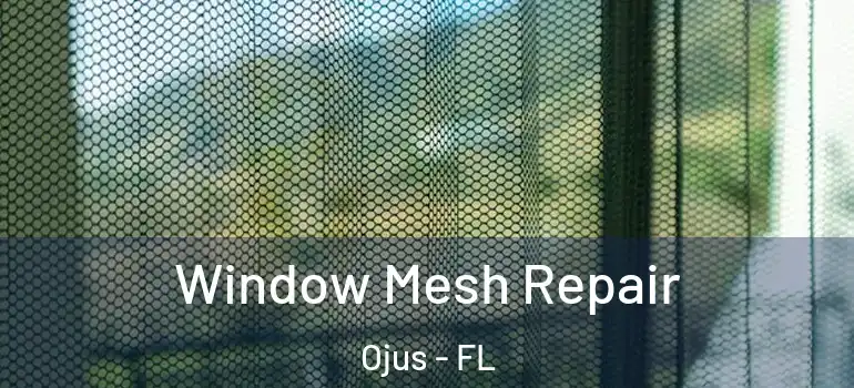 Window Mesh Repair Ojus - FL