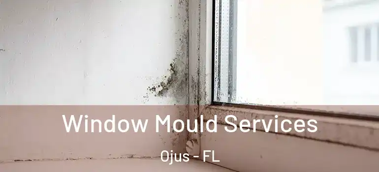 Window Mould Services Ojus - FL