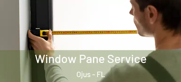 Window Pane Service Ojus - FL