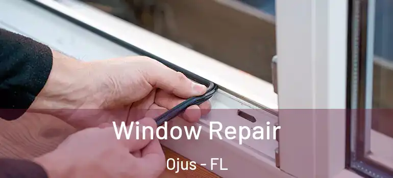 Window Repair Ojus - FL
