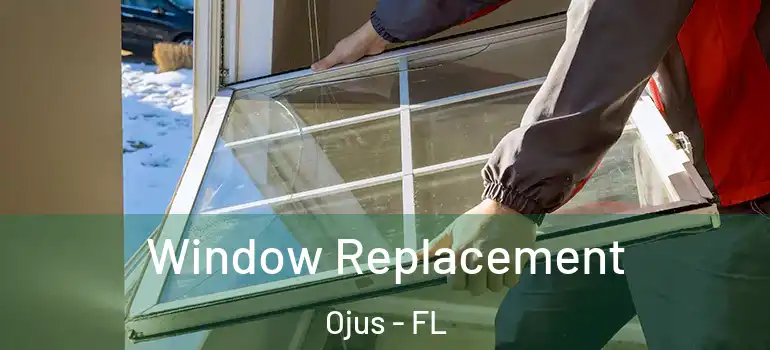 Window Replacement Ojus - FL