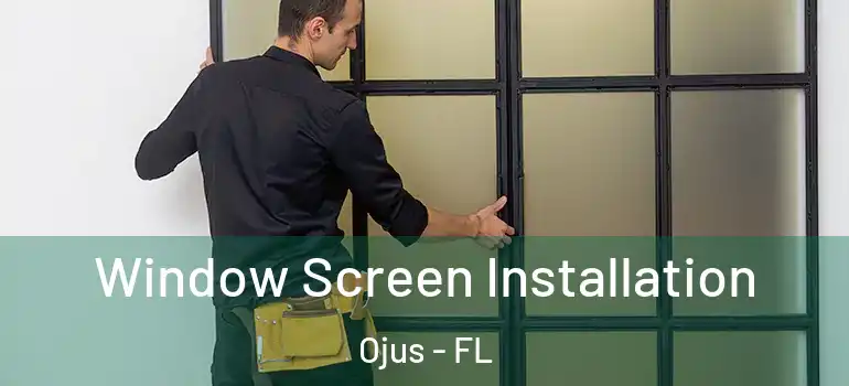 Window Screen Installation Ojus - FL