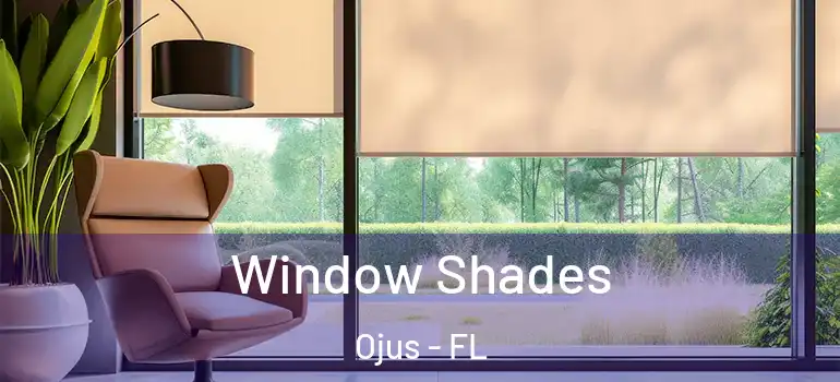 Window Shades Ojus - FL