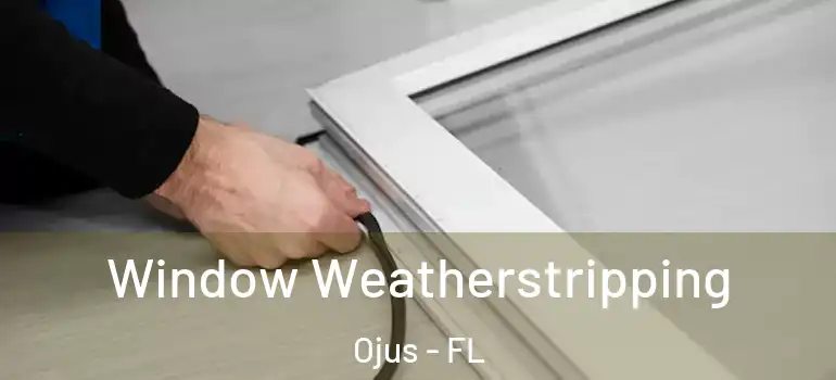 Window Weatherstripping Ojus - FL