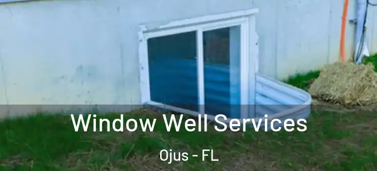 Window Well Services Ojus - FL