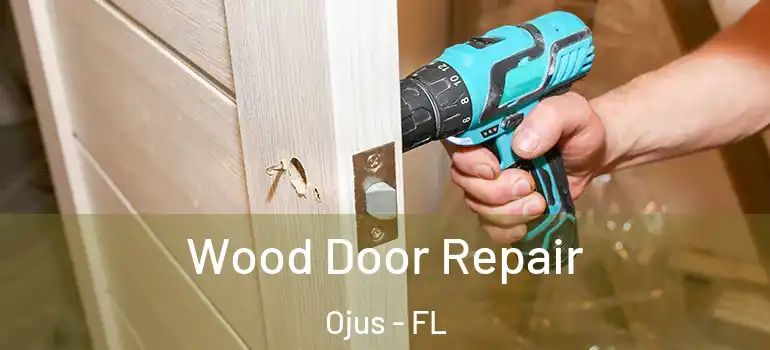Wood Door Repair Ojus - FL
