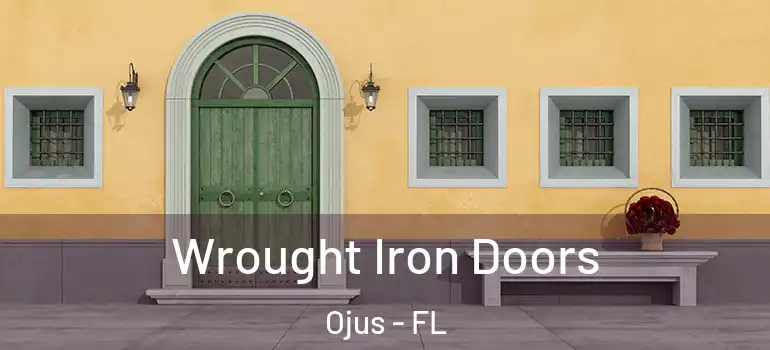 Wrought Iron Doors Ojus - FL